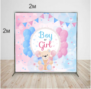 ФОТОЗОНА НА  Гендер пати определение пола ребенка В АРЕНДУ BOY OR GIRL?