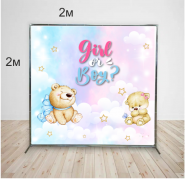 Фотозона на Гендер пати в аренду Girl or Boy?