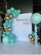 Баннер с шарами Пресс стена на Выпускной